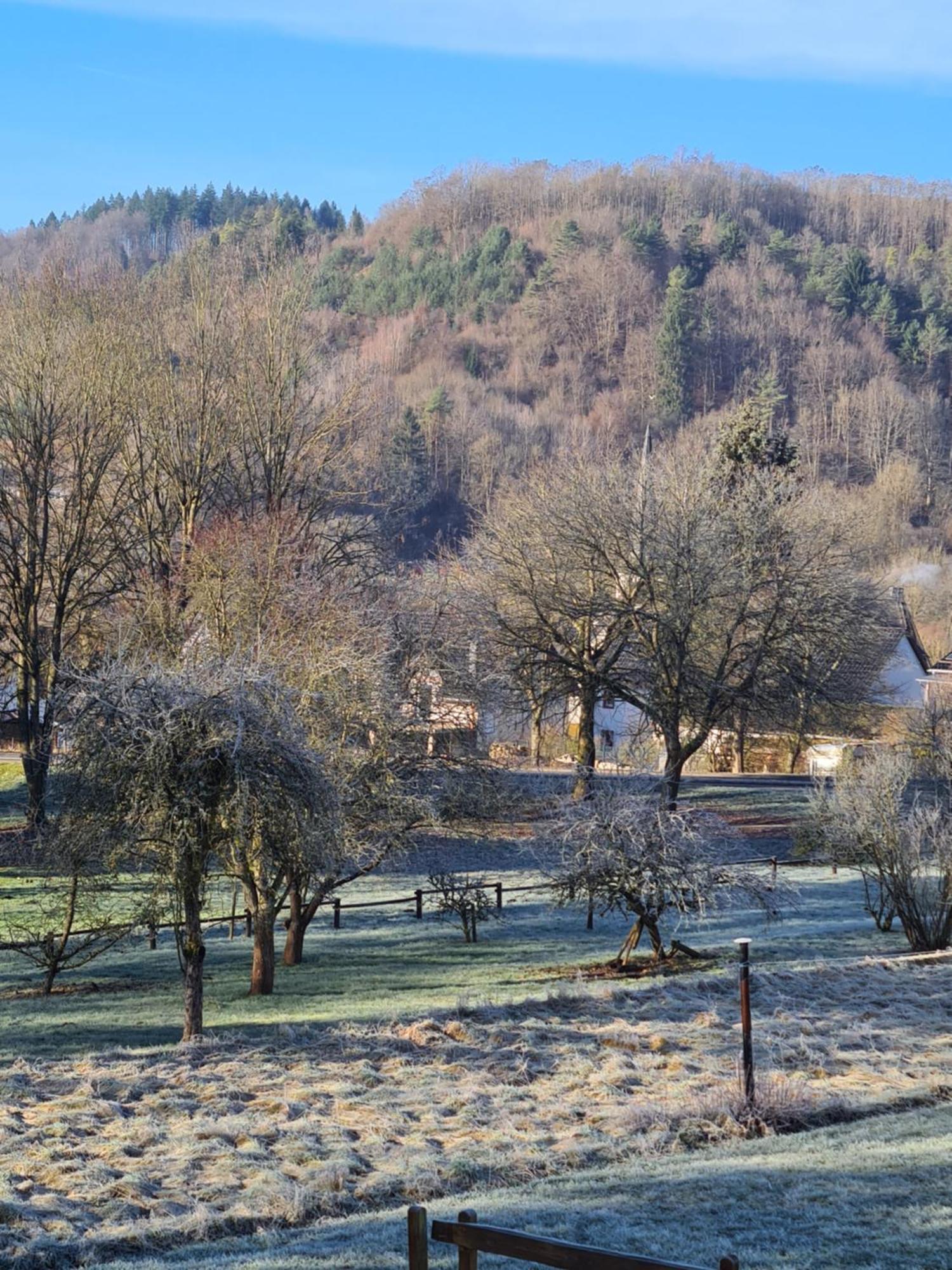 Ferienwohnung Burgblick Pelm Extérieur photo